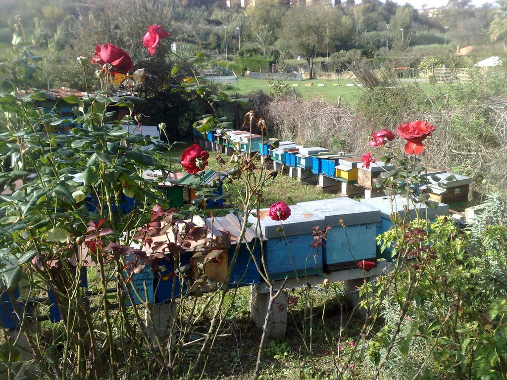 B&B Il Giardino di Gabri Roma Esterno foto