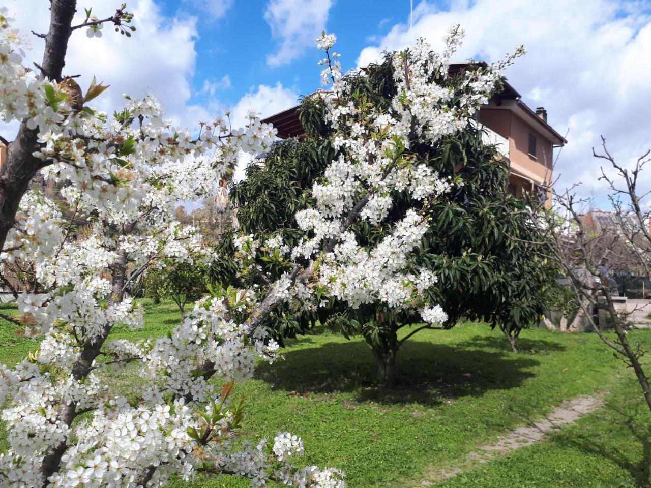 B&B Il Giardino di Gabri Roma Esterno foto