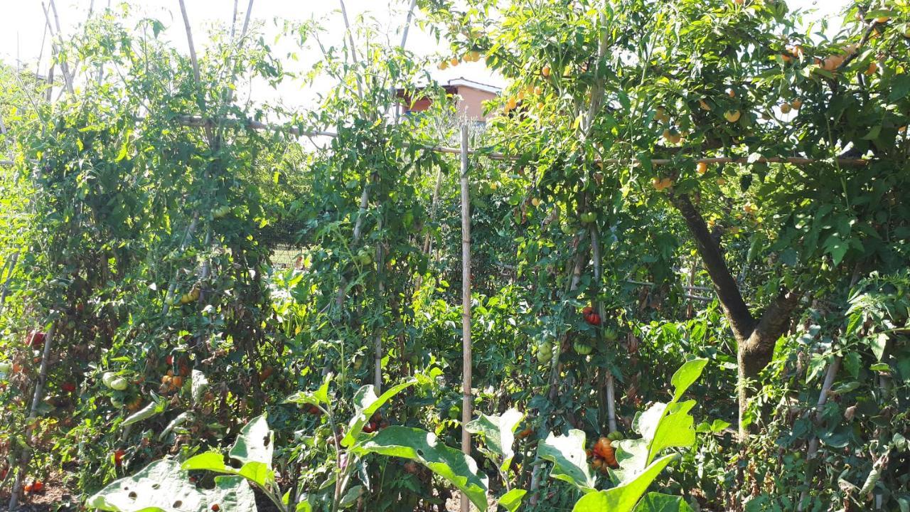 B&B Il Giardino di Gabri Roma Esterno foto